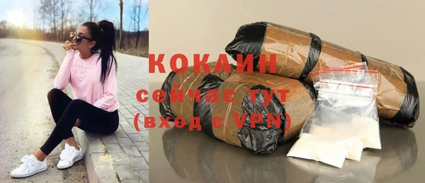 кокс Дмитриев